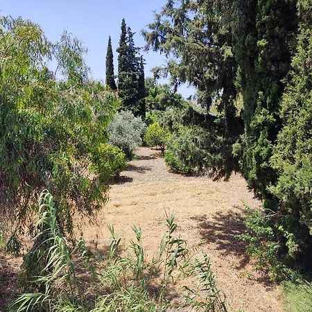 Callas Residence Ιαλυσός Ρόδος Εξωτερικό φωτογραφία