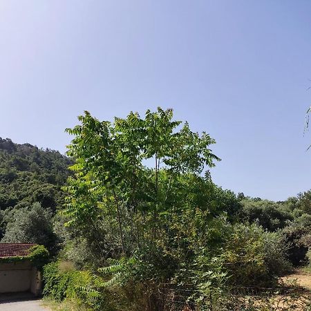 Callas Residence Ιαλυσός Ρόδος Εξωτερικό φωτογραφία