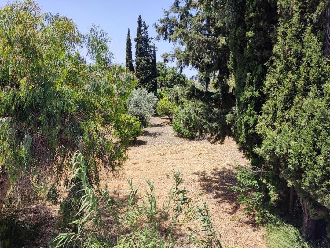 Callas Residence Ιαλυσός Ρόδος Εξωτερικό φωτογραφία