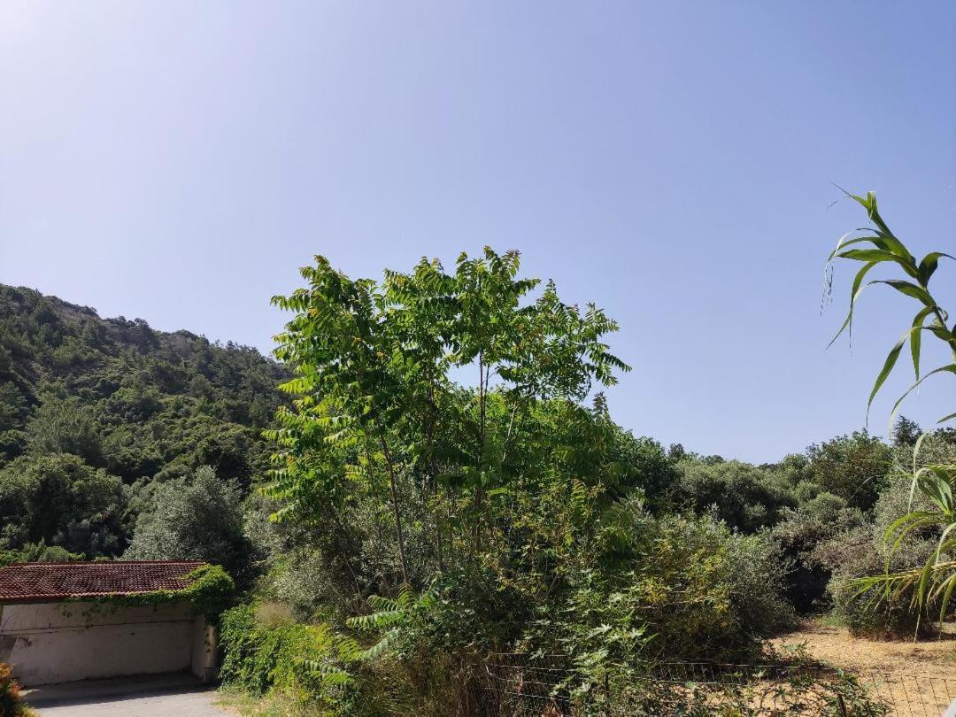 Callas Residence Ιαλυσός Ρόδος Εξωτερικό φωτογραφία